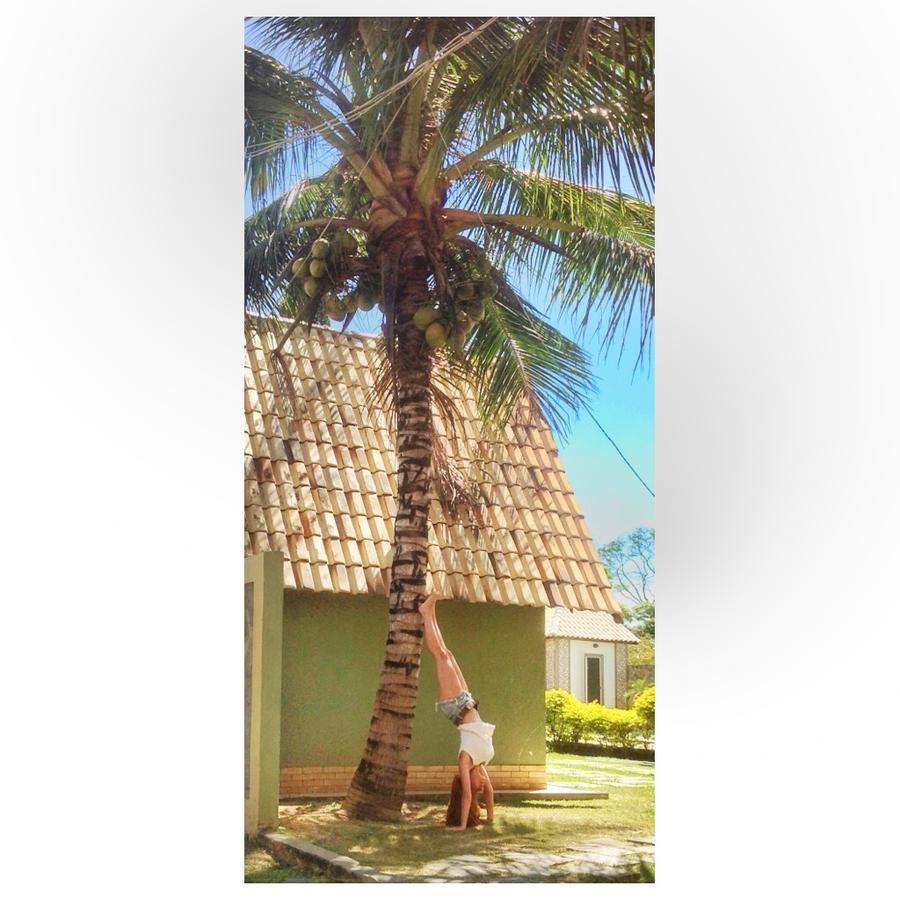 Hotel Pousada Dos Chales Campos dos Goytacazes Exteriör bild